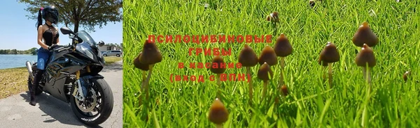 PSILOCYBIN Алексин