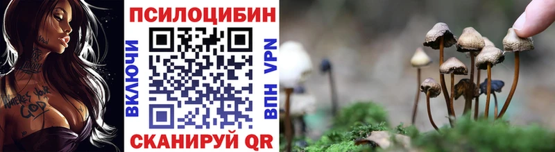 где найти наркотики  Кореновск  Галлюциногенные грибы GOLDEN TEACHER 