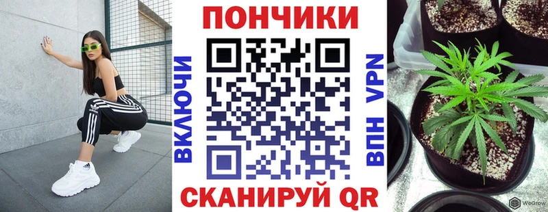 магазин  наркотиков  Кореновск  мега вход  Марихуана THC 21% 